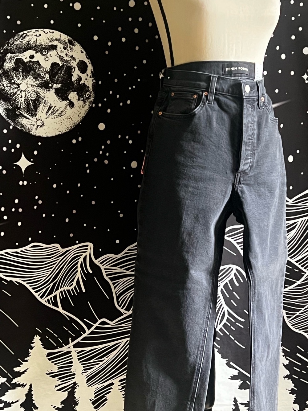 Aritzia Denim Forum Arlo Jeans